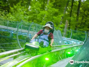 Moonshine Mountain Coaster