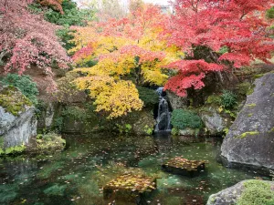 Fall Leaves Viewing in Hakone