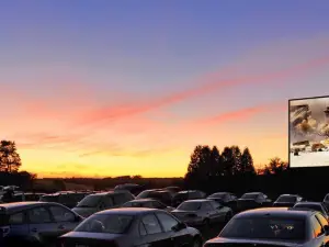 Finger Lakes Drive-In