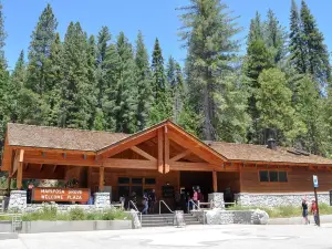 Mariposa Grove Welcome Plaza