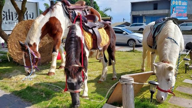 Wai'ao Hills Racecourse
