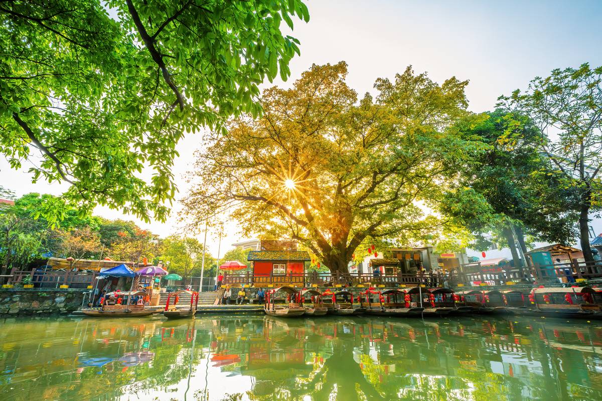 順德一日遊 | 逢簡水鄉