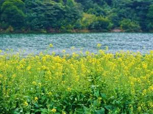 Shimen National Park