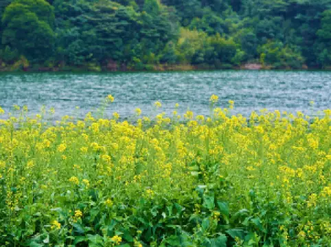 อุทยานแห่งชาติชิเหมิน