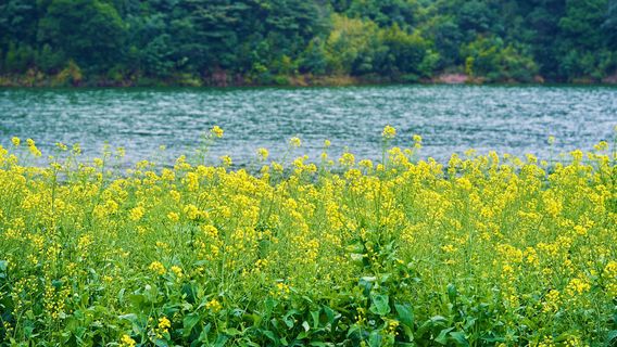 Shimen National Park