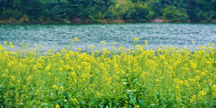 石門國家森林公園