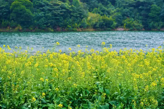 Hotels near Shimen National Park