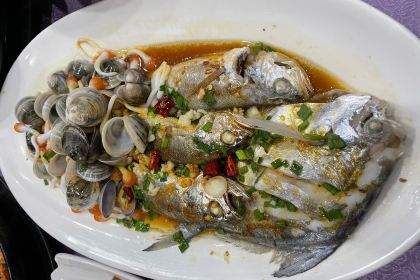 ZHOU SHAN OLD ANGLER