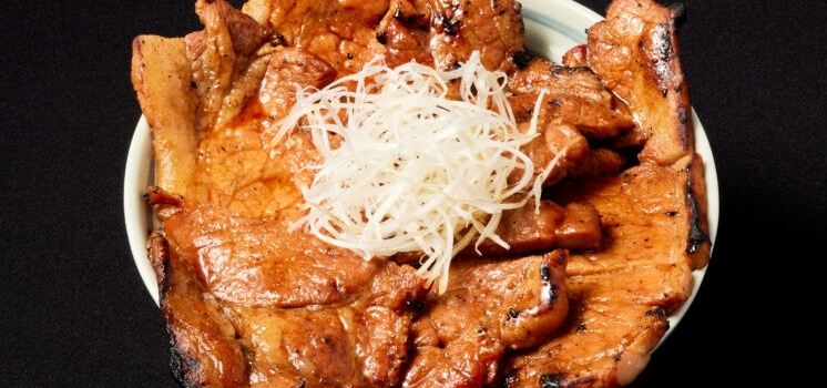 Tokachi Buta-don Ippin Sapporo Kitajujo Ten