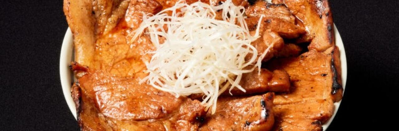 Tokachi Buta-don Ippin Sapporo Kitajujo Ten