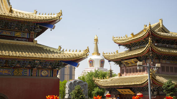 Hồi Hột