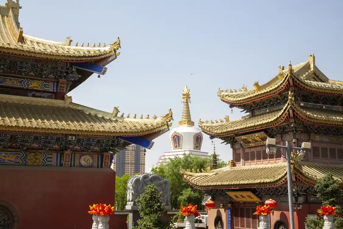 바오얼한 불탑 주변 호텔