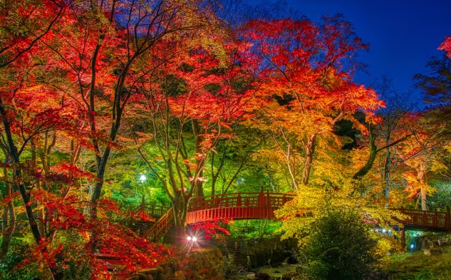 熱海梅園桃地祭“紅葉節” | 熱海市