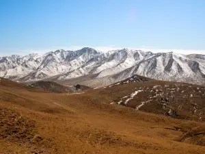 라지산