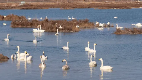 Yuncheng Salt Lake attraction in Yuncheng