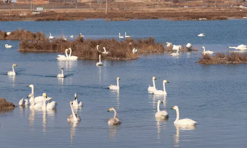 Yuncheng Salt Lake