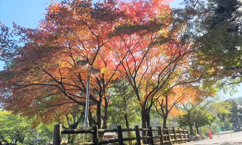 한라수목원
