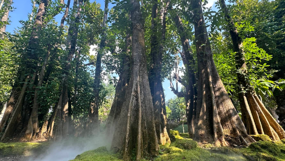 Changthong Heritage Park
