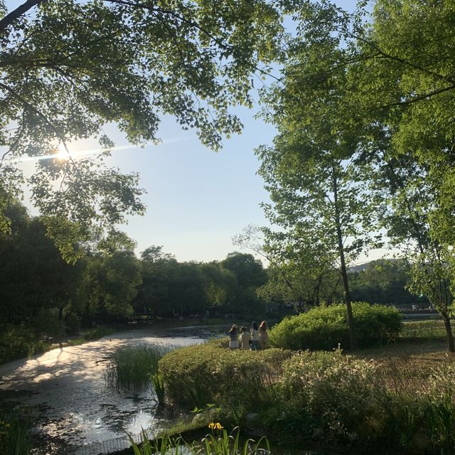 서울 포레스트 