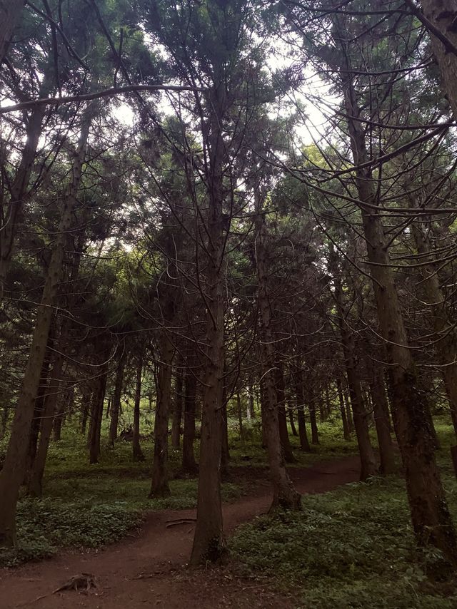 제주도 노을맛집, 포토존 새별오름