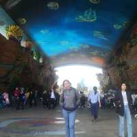 CHIMELONG OCEAN KINGDOM