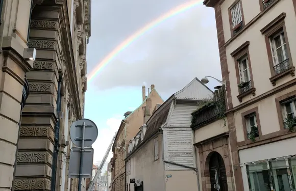Le Goût du Terroir
