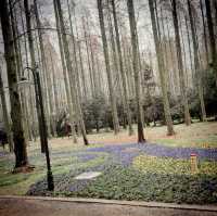 Chongming Forest Cabins Escape the City