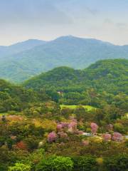 小白雲山風景區