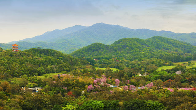 Xiaobaiyun Mountain Scenic Area