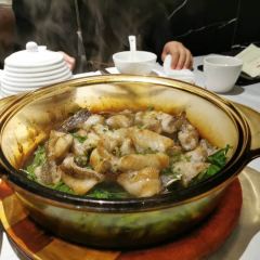 Snoogies Health Bar Cairns User Photo