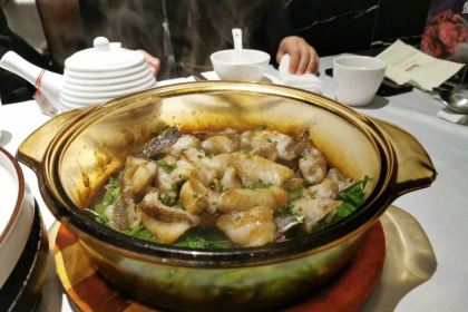 Snoogies Health Bar Cairns