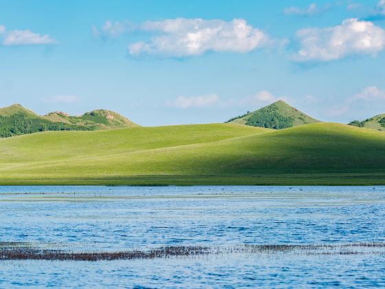 Jiangjun Lake