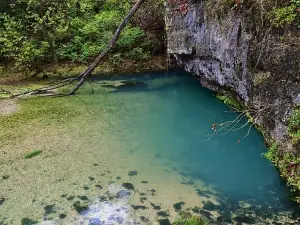 Ha Ha Tonka State Park