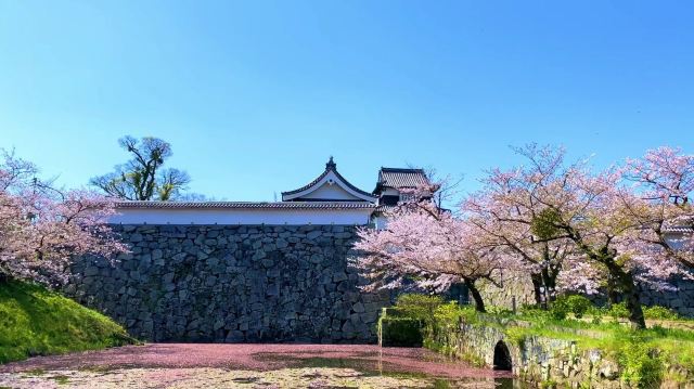 舞鶴公園