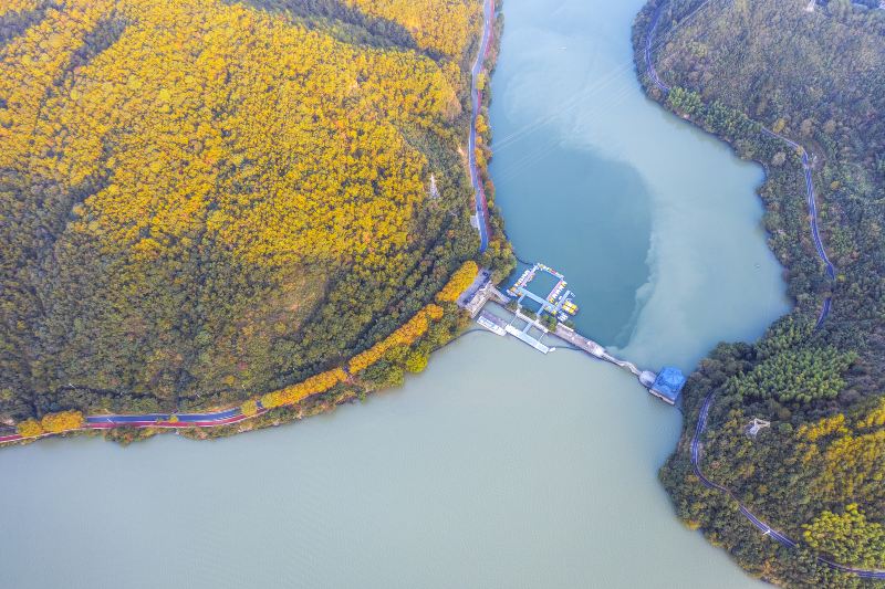 江南龍門湾