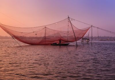 Chinese fishing nets