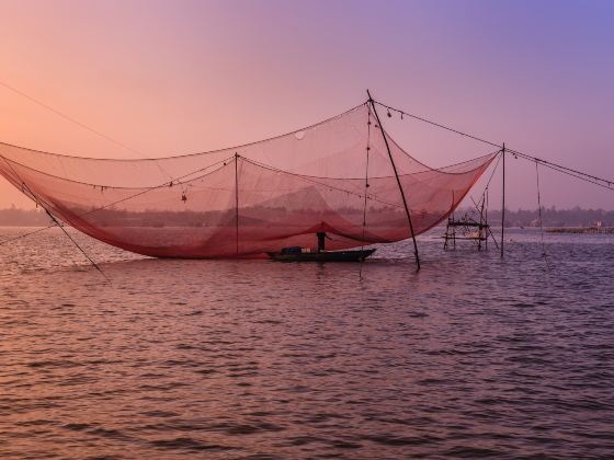 Chinese Fishing Nets