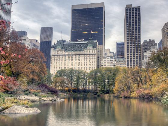 Central Park Zoo