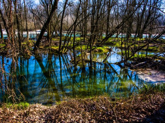 High Park North