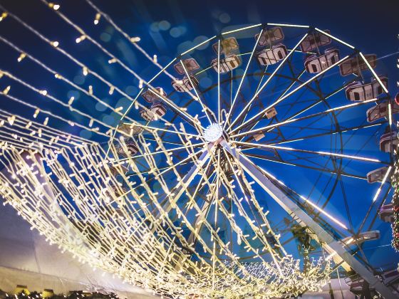 Niagara SkyWheel