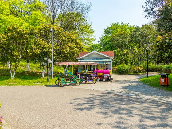 Nanjing Qiqiaoweng Wetland Park