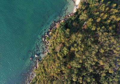 Burleigh Head National Park