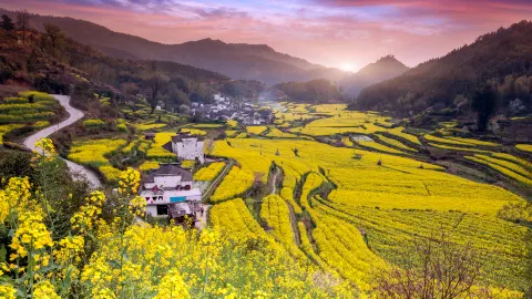 Wuyuan travel destination