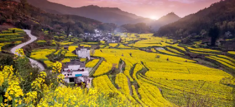 Hotels near Wuyuan Huangling Scenic Area - Viewing Point