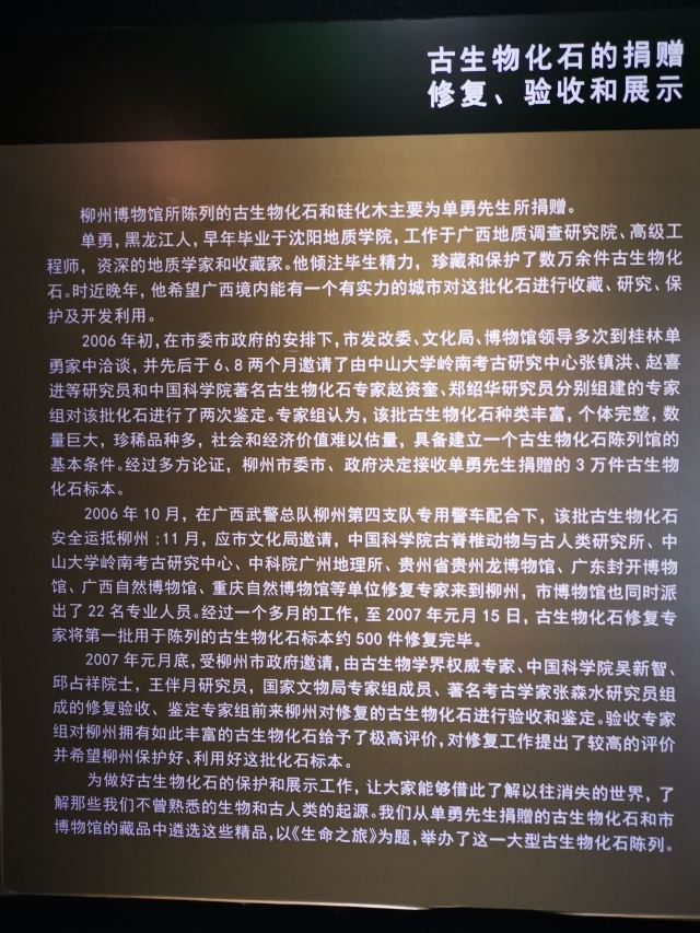 Liuzhou Museum