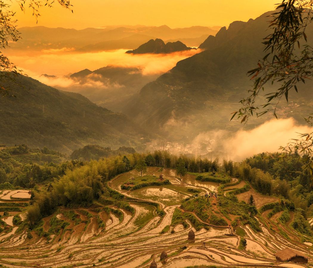 Yunhe Terraced Fields