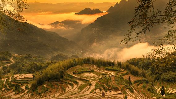 Terraced Fields Viewing in Yunhe