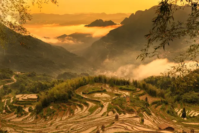 Terraced Fields Viewing in Yunhe