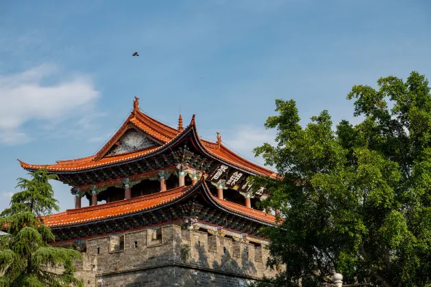 Khách Sạn Pet friendly Tại Malipo