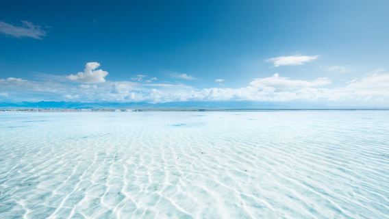 茶卡鹽湖+青海湖一日遊【包車遊】